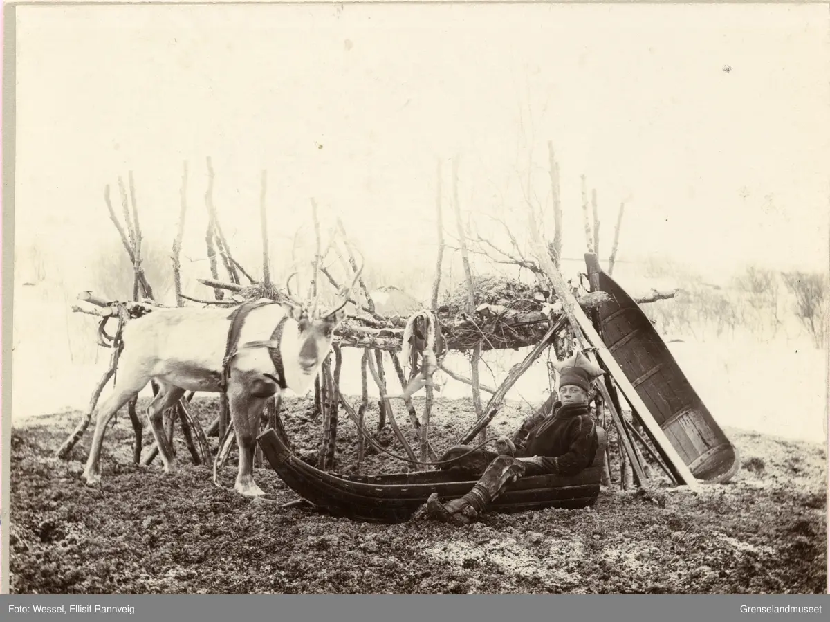 Ole Johnsen Must med sin kjørerein og pulk ved mosekraken på Solheim, vinteren 1896