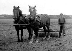 EN MAN KÖR EN RINGVÄLT MED TVÅ HÄSTAR.