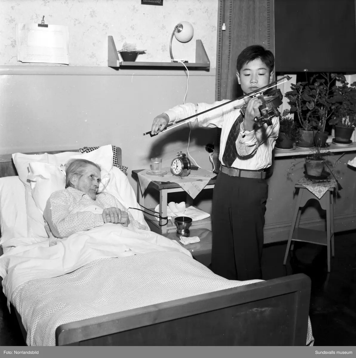Hi Choon Lee, violinspelande 13-åring från Sydkorea som kom till Bredbyn, Anundsjö, för musikstudier 1953 på inbjudan av en svensk-koreansk förening. Han välkomnades att bo hemma hos fru Sara Östholm så länge han ville. Reportagebilder för Expressen.