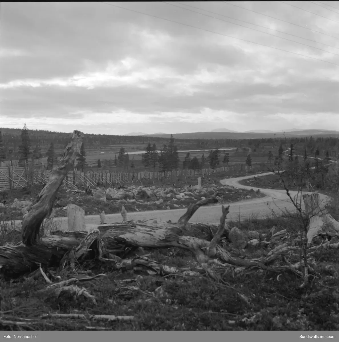 Reportagebilder för Dagens Nyheter om den så kallade skolstrejken i Högvålen. En grupp sjundeklassare i Högvålen, Härjedalen, fick under en tid skolskjuts av polisman Härje Bäckström för att ta sig till skolan i Funäsdalen. Fyra av barnen på bilderna är Elin Dahl, Birgit Halvarsson, Einar Höglund och John Olof Halvarsson.