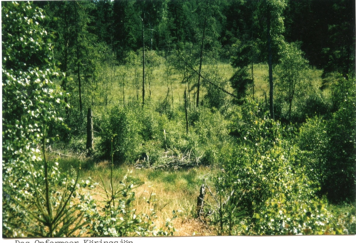 Övraby sn.
Käringsjö mosse.
Västra delen av mossen från sydväst.