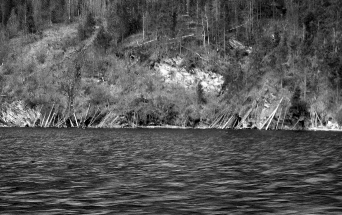 Bergfullt strandparti med tømmer ved Rangkløvhammeren på vestsida av Storsjøen i Rendalen.  Fotografiet er tatt fra båt våren 1946.  Det viser et bratt strandparti med en del oppstikkende berg, og med glissen bar og bjørkeskog.  Innimellom trærne ses en del tømmerstokker som ligger i bratta ned mot stranda, antakelig spor etter forsøk på å renne virket ned mot sjøen på snøføre foregående vinter.  Det var åpenbart vanskelig å få slått virke som ble liggende på denne måten på sjøen når fløtinga skulle starte.  Ifølge innskrift under en kopi av fotografiet i album GF 23 skal tømmeret her være levert fra eiendommen Åsheim. 