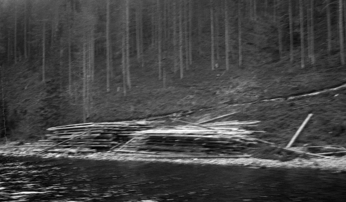 Florlagte tømmervelter ved Storsjøen i Rendalen våren 1946.  Tømmerveltene er fotografert fra båt mot land.  Begge de to veltene eller stablene later til å bestå av 7-8 lag med mellomliggende tverrstokker som skulle bidra til lufting.  Virket er opplagt helt i strandkanten.  Bakenfor skimtes en tømmerveg som skrår ned lia og når stranda like til venstre for de to veltene.  Ovenfor tømmervegen vokser det hogstmoden barskog med høy oppkvisting. 