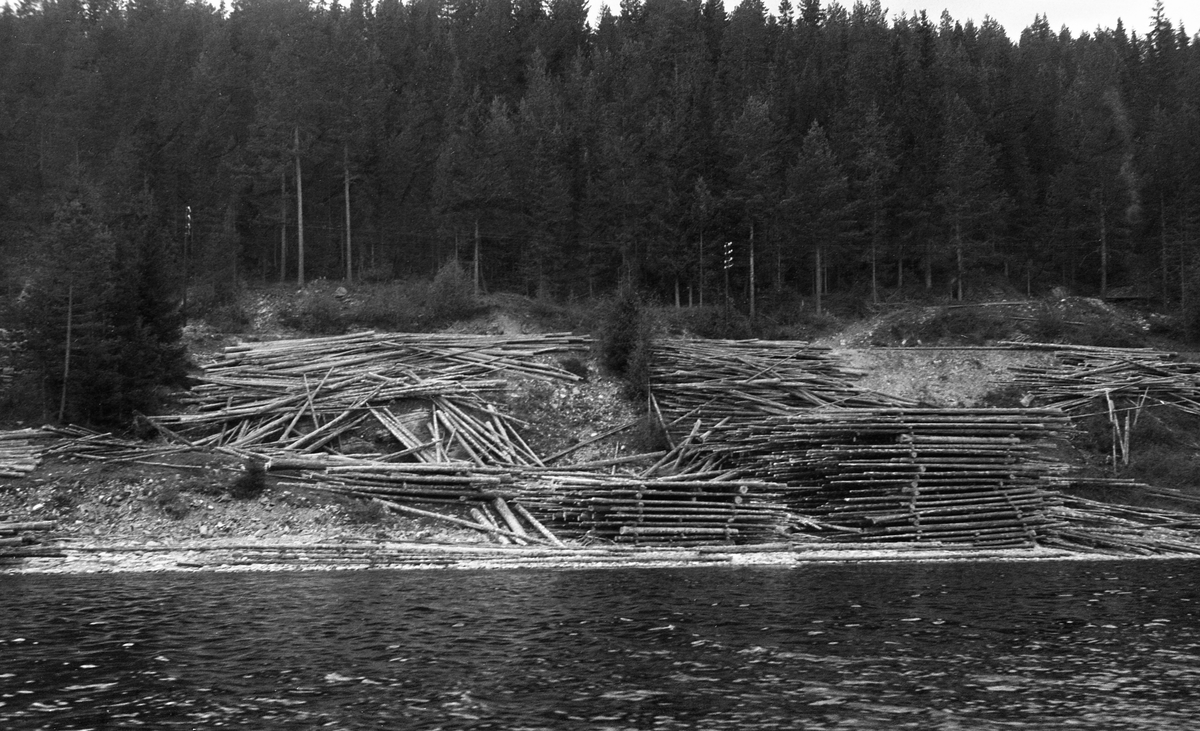 Tømmervelte som ifølge innskrift over en albumkopi av fotografiet skal ha ligget sør for Fjerdingshammeren ved Storsjøen i Rendalen våren 1947.  Tømmeret er delvis floret, til dels bare veltet av sledene fra den ovenforliggende bygdevegen ned den bratte strandskråningen.  Den minste av de florete stablene (til venstre i bildet) består bare av fire lag, den høyeste (til høyre) består av om lag tjue lag med mellomliggende tverrstokker.  Det virket som bare er veltet av sledene ligger nokså hulter til bulter, dels bak den største velta, dels nedover i skråningen og dels oppunder vegkanten.  Dette virket må det ha vært nokså arbeidskrevende å få slått på sjøen.  Bakkekammen i bakgrunnen har forholdsvis tett barskog. 