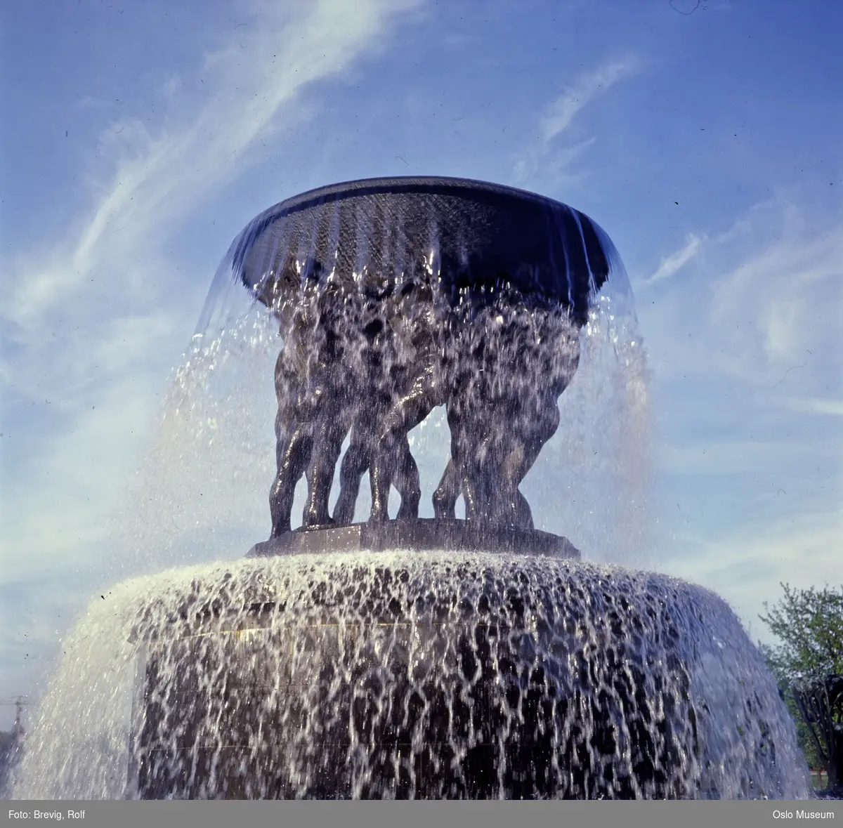 Vigelandsparken, fontene