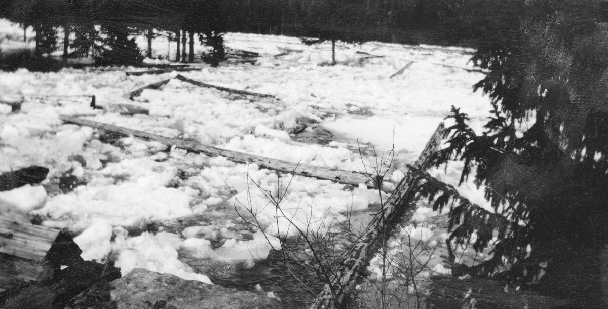 Isgang under vårflommen i Glommavassdraget våren 1928.  Fotografiet er tatt ved Hanestad i Rendalen, der is og tømmer ble ført oppover oset til sidevassdraget Kiva.  Fotografiet er tatt fra jernbanebrua mot Kivas løp i medstrøms retning.  Elvefaret er dekt av is, og oppå isen ligger det enkelte tømmerstokker, i hovedsak på tvers av strømretningen.  Langs elva vokste det granskog.  I forgrunnen skimtes overkanten av brukaret og noe av brulegemet.

Den 19. september 1934 siterte regionavisa fra bevisopptakene i saken grunneierne langs Glomma i Stor-Elvdal hadde reist mot staten, som hadde gitt konsesjon for regulering av Aursunden. Særlig vitnet Leif Heiberg (1887-1979), som kom til Rendalen for å drive tjærefabrikk, men etter hvert også ble skogeier, uttalte seg om forholdene ved Hanestad:

«Skogeier Leif Heiberg, Hanestad, Øvre Rendal, 47 år, forklarte at han har bodd på Hanestad i 26 år, like ved Glåma på dennes vestside med stadig trafikk over elven til Hanestad jernbanestasjon. Han eier også skog på begge sider av elven, og har hvert år drevet tømmer i denne. Hans erfaring er at efter reguleringen legger isen sig senere på Glåma og blir dårligere. Tidligere var der regelmessig sikker is til jul. Nu kan man ikke stole på det. Isen går op tidligere om våren. Den legger sig nu i flere lag, som ikke fryser sammen, men danner «skrøvis».

I tidligere år inntrådte undertiden overvatning under islegningen, men hadde isen lagt sig, var man regelmessig fri for overvatning. Nu har man overvatning til ut i februar, hvilket vanskeliggjør tømmerlegning og trafikk. Tidligere kunne man trygt legge tømmer på isen fra 1. januar. Nu tillates for tiden av tømmermålingen ikke tømmer lagt på isen før 1. februar – et forhold som vistnok gjelder hele Glåmdalen og er til stor skade.
Efter partens mening har også borttagning av sten i elveleiet vanskeliggjort islegningen, idet isen danner sig rundt sten i elveleiet. 
Der har ved Hanestad vært isganger såvel før som efter reguleringen. Tidligere kom isgangene efter sterkere omslag fra kulde til mildvær – nu kommer de også i sterk kulde og nu er de større og hyppigere. Bestemte år for særlig store isganger fra den senere tid kan ikke nevne, han har notater herom hjemme.

I 1927-28 måtte han legge 550 tylfter tømmer på land istedenfor på isen av hensyn til overvatningen. Herved påførtes han omkostninger av minst 1 krone pr. tylvt. I de siste 2 vintre har isen lagt sig tidligere enn i de foregående, men opvatningen har vært større. Denne har inntrådt først efter jul. I disse år har ingen isgang av betydning vært – der har dog dannet sig isdammer, som er gått, men dette kaller man ikke isganger. Dertil kreves at det går en rekke dammer, som gjør elven ren for is.»