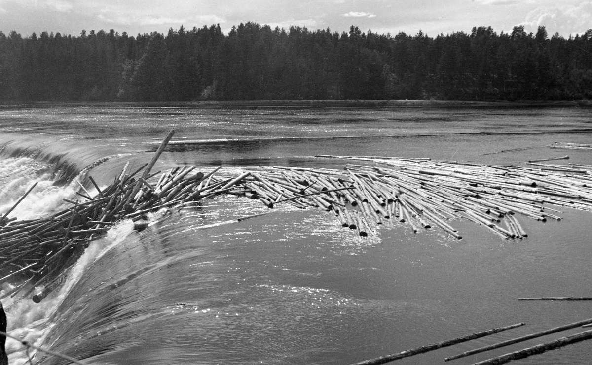 Tømmer på overløpsdelen av kraftverksdammen ved Skjefstadfossen i Heradsbygda i Elverum i Hedmark. Fotografiet ble tatt sommeren 1947. Bildet er tatt fra en plattform ved det østre landfestet ned mot den 312 meter lange buete overløpet, som var en betongkonstruksjon. På vanndspeilet ser vi ei lense – et flytende stengsel lagd av sammenlenkete tømmerstokker – som skulle hindre at tømmeret drev mot den vestre delen av dammen, der inntaksbassenget for vann til turbinene i den nedenforliggende kraftstasjonen var plassert. Samtidig skulle lensa lede tømmeret mot det østre landet, der elveløpet gjennom fossen var djupest, slik at faren for at det skulle sette seg fast og danne hauger som blokkerte vassdraget var minst.