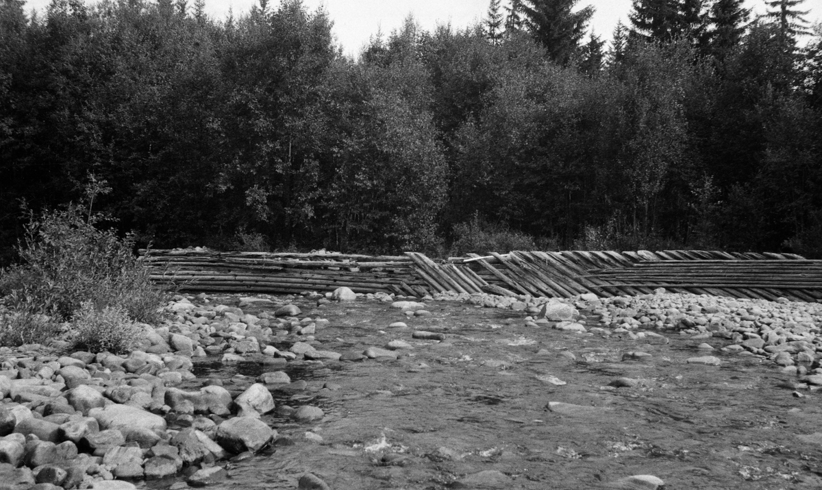 Elvelandskap ved Flena i Ytre Rendalen.  Fotografiet skal være tatt på et sted som kalles Flenbuøyen på seinsommeren 1947.  Det viser et steinete elveløp i et forholdsvis flatt landskap.  På det stedet hvor opptaket er gjort synes det som om elva gjør en sving.  Her er det bygd en skådam, antakelig en steinfylt tømmerkistekonstruksjon, som seinere er delvis kledd med skråstilt og horisontaltliggende bord eller hunved på strømsida Langs elva vokser det lauvtrær, men bakenfor rager en del grantrær over lauvskogen.  Dette er antakelig den samme skådammen som er fotografert fra en annen vinkel og distanse på SJF. 1990-01554. 