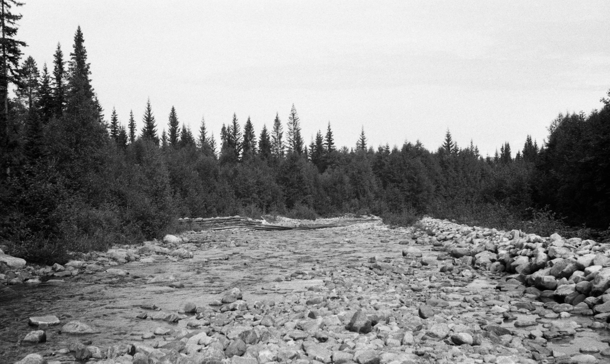 Steinete elveløp i Flena i Ytre Rendalen. Fotografiet skal være tatt på et sted som kalles Flenbuøyen på seinsommeren 1947. Det viser et steinete elveløp i et forholdsvis flatt landskap. Langs høyre elvebredd later det til å være kastet opp en voll av stein fra ørene i elveløpet, antakelig for å forebygge at fløtingstømmeret i flomperioder skulle stryke langt innover elvesletta. Langs venstre elvebredd, litt lengre «inne i» bildet, ses en skjerm/skådam av tømmer. Nærmest elva vokser det lauvtrær, men ellers domineres landskapet av granskog.