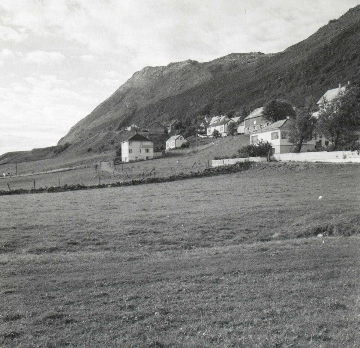 Prospektfotografi av noen gårdsbruk og hus på Godøya.