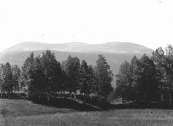 Fotograf J. Engerdal, Trysil