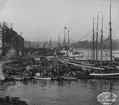 Hamnbild från Stockholm på slutet av 1890-talet. Slussen och fiskhamnen med bl.a. sumpbåtar.