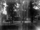 Bostadshus i trädgård, ca 1910.