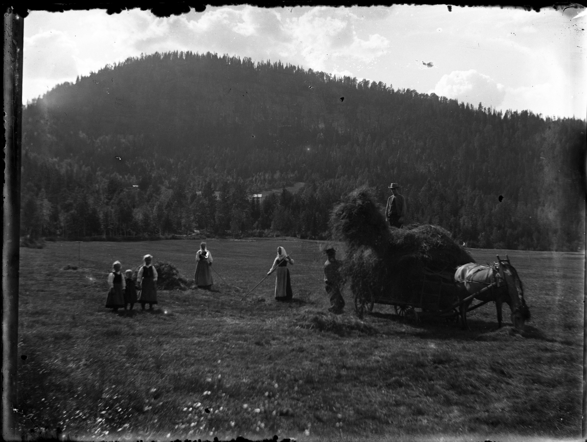 Fotosamling etter Bendik Ketilson Taraldlien (1863-1951) Fyresdal. Gårdbruker, fotograf og skogbruksmann. Fotosamlingen etter fotograf Taraldlien dokumenterer områdene Fyresdal og omegn. 
Motiv med høying på Tarldlien