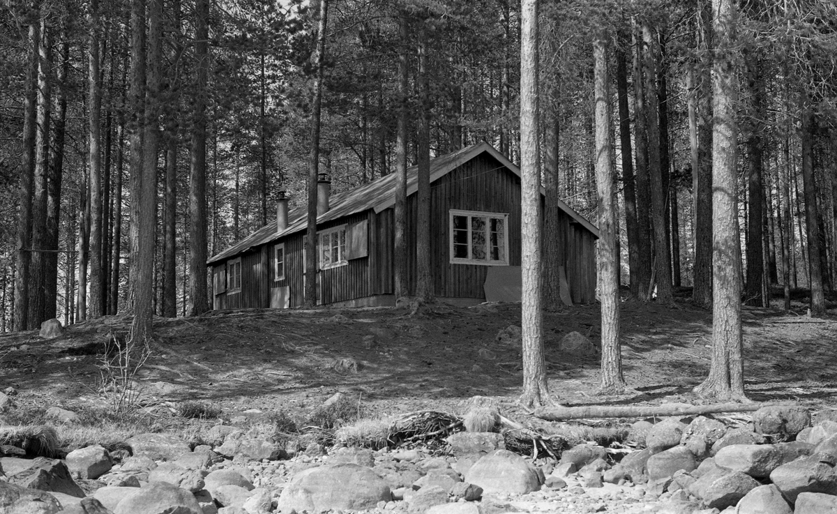 Osmundbrakka, koia for tømmerfløterne på Nesset ved elva Nordre Osas utløp i Osensjøen i Åmot kommune i Hedmark. Dette om lag 6 mil lange vassdraget renner inn i innsjøens nordende, og mye tømmer fra Nordre Osas nedslagsfelt ble fra gammelt av samlet i ei lense utenfor elveosen med sikte på videre buksering i bommer mot Valmen og elva Søndre Osas utløp på vestsida av Osensjøen. Virksomheten rundt denne lensa, var nok hovedårsaken til at det var behov for et forholdsvis stort husvære akkurat her. Etter at fløtinga i Nordre Osa ble avviklet, omkring 1970, fikk skogeierne i dette området kjørt tømmeret sitt på lastebiler til Osmund. Da dette fotografiet ble tatt, i 1984, ble tømmeret skjøvet ut i vannet fra en velteplass mellom bilvegen og strandlinja ved hjelp av en hjullaster når sjøen ble isfri om våren, men fløterne hadde fortsatt mye arbeid med å samle tømmeret i bommer før bukseringa med slepebåten Trysilknut kunne starte.