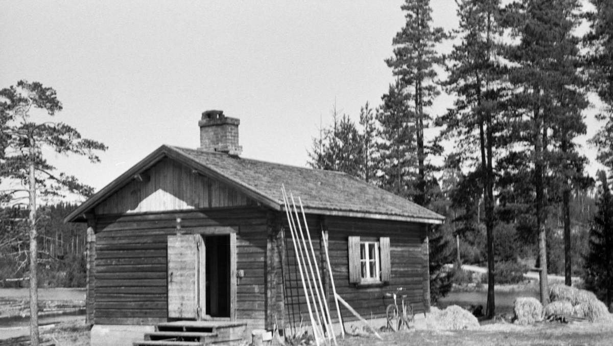 Fløytdamkoia ved Trautåa i Nord-Odal i Hedmark, fotografert i 1955, like før dette husværet ble oppusset og modernisert. Koia var en laftekonstruksjon, reist på en støpt ringmur. Den hadde inngang på den gavlveggen som vendte mot fotografen. Derfra kom man først inn i et lite rom, antakelig en gang, kanskje med tørkerom, før en nådde i oppholdsrommet, der dampasserne spiste og sov. Koia lå på en bakkekam med utsikt mot Fløytdammen. Ved husveggen i forgrunnen sto det en del fløterhaker og en sykkel. Fotografiet SJF.1990-01997 viser hvordan huset så ut etter den nevnte oppussinga.