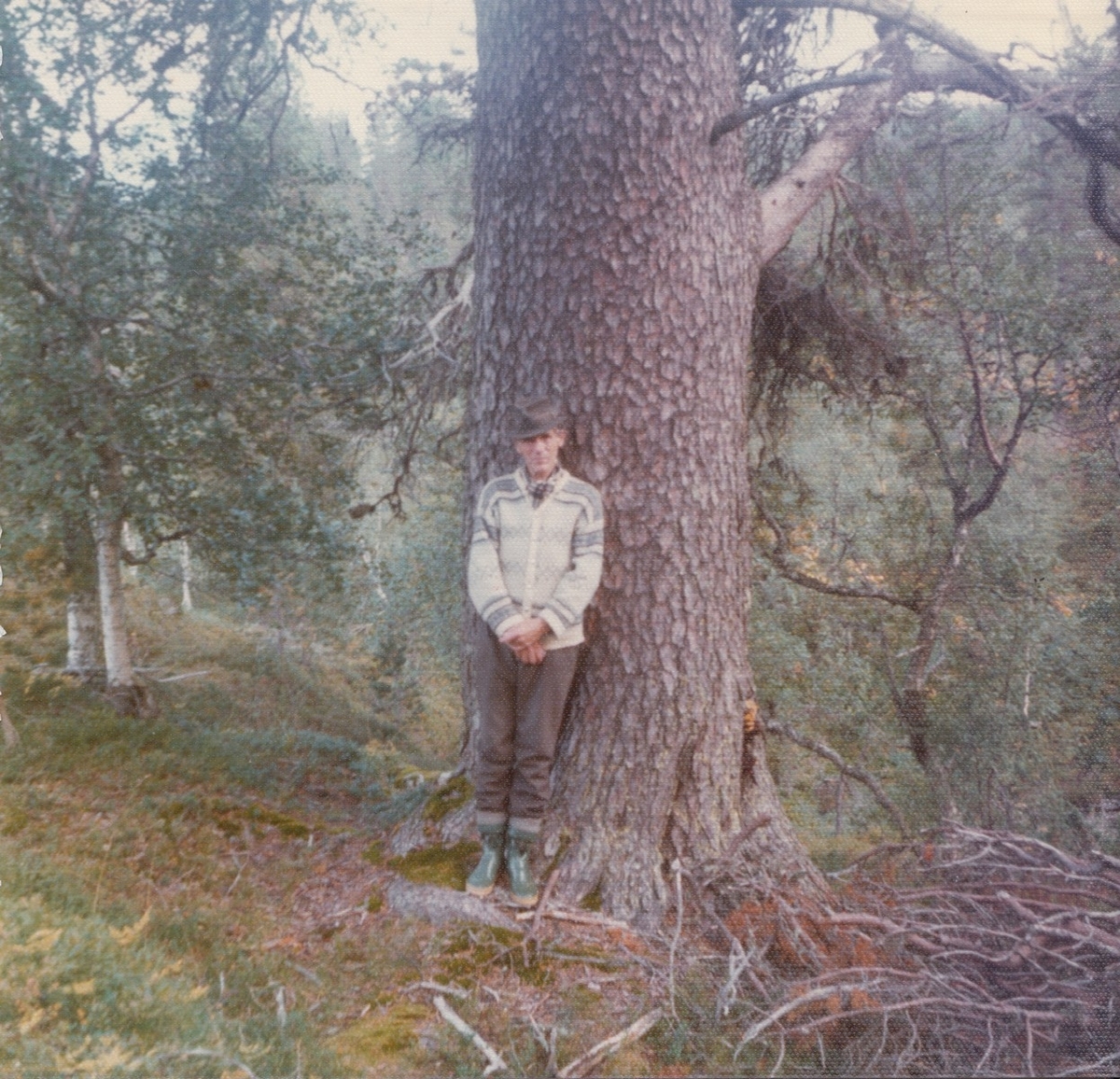 Fotografi av Olav H. Hauge, ståande framom eit tre ved Frystetjørn. Dette er eit tjørn i Ulvik, som ligg oppfor Vambheim. Biletet er teke mellom 1976 og 1980. Fotografen er truleg Bodil Cappelen. Biletet vart skanna hos Bodil Cappelen i 2012, og er i Olav H. Hauge-senterets eige. Skanning og innhenting av informasjon vart utført av Eirik Bergesen Dalen.