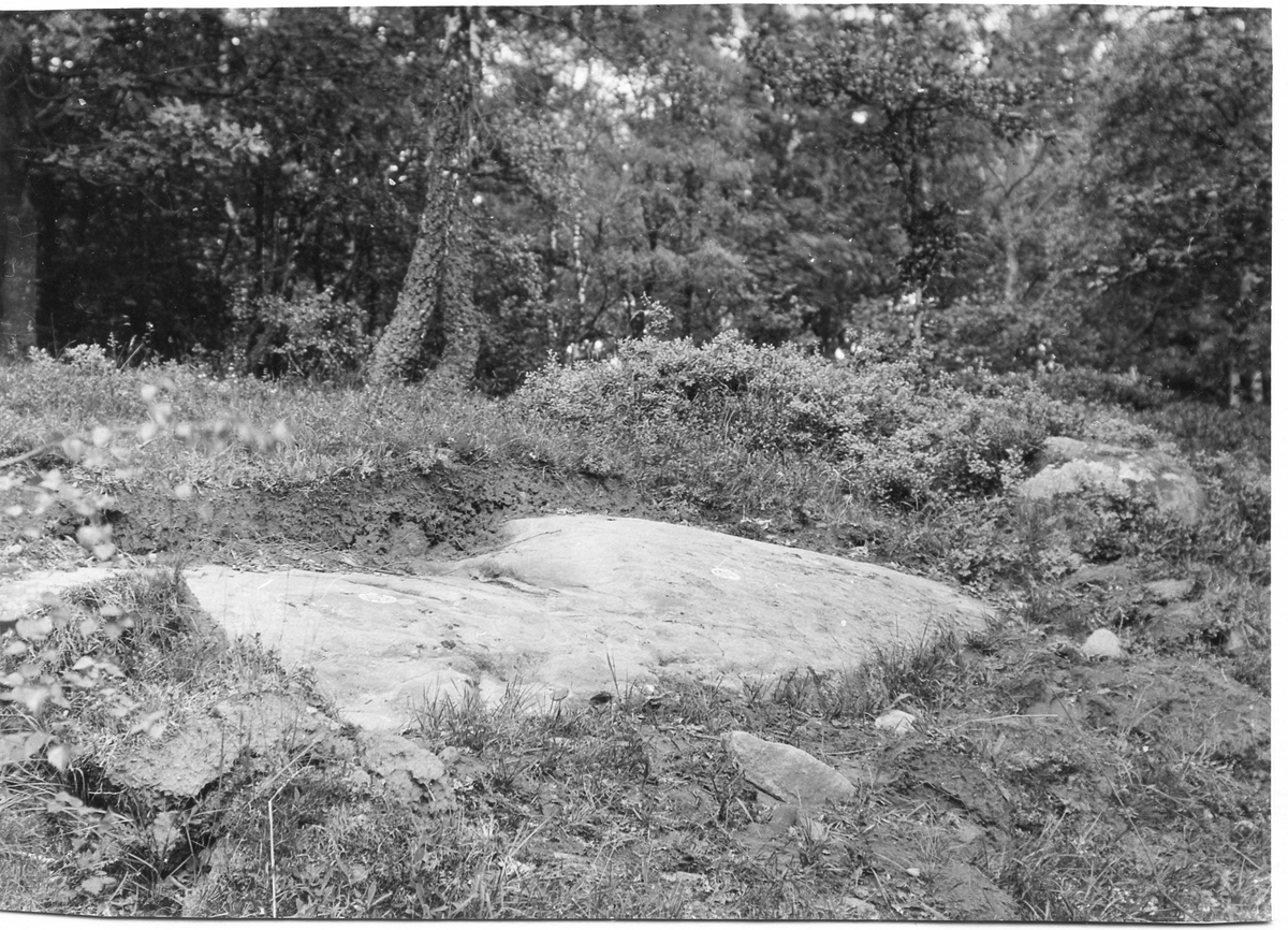Östra Karups sn.
Nidingstorp.
Foto 1 Nidingstorp nr 2.
Foto 2 Nidingstorp nr 2.
Foto 3 Nidingstorp, Sten 1.
Foto 4 Nidingstorp, Skålgropsten nr 2.
Foto 5 Nidingstorp nr 2a.
Foto 6?.
Foto 7 Nidingstorp 1:4.
Foto 8 Nidingstorp, toppsten.