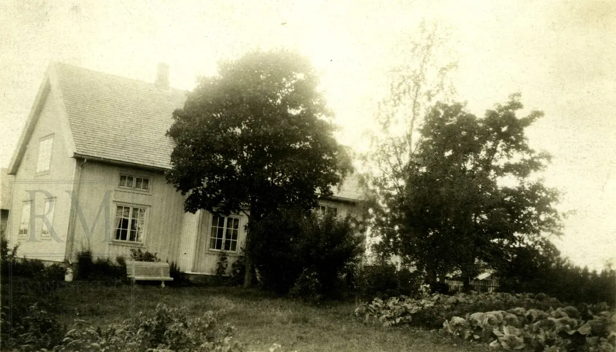 Fotografier fra Gjefsen østre. Portretter, familiebilder, bygninger, visittkort, gruppebilder.