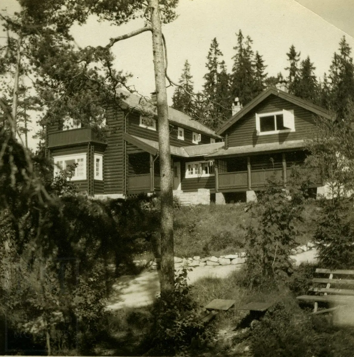Fotografier fra Gjefsen østre. Portretter, familiebilder, bygninger, visittkort, gruppebilder.