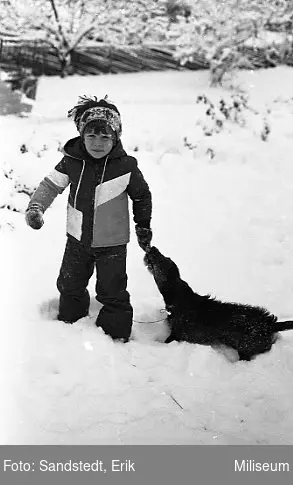 Barn som leker med en hund. Vinterbild.