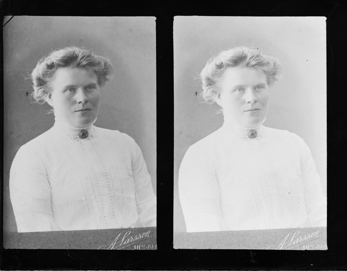 Reprofotografi - kvinna, Östhammar, Uppland