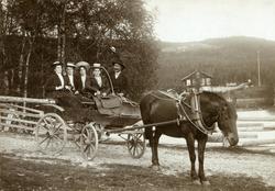 5 personer i trille.