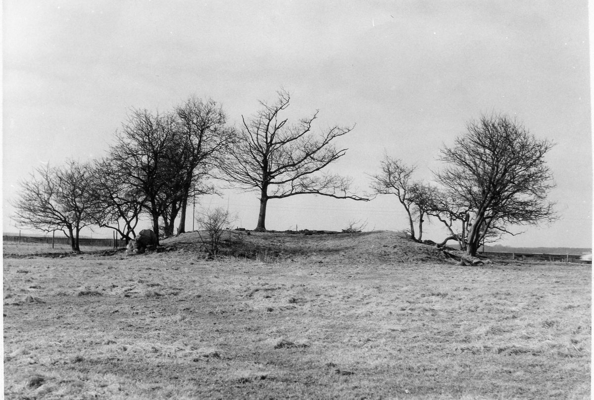 Åsklosters kungsgård.
Ruinkulle nordost om E 6.
Foto 1 Foto från nordost.
Foto 2 Foto från sydost.
Foto 3 Foto från öster. I bakgrunden järnvägsbron över Viskan.
Foto 4 Foto från norr.