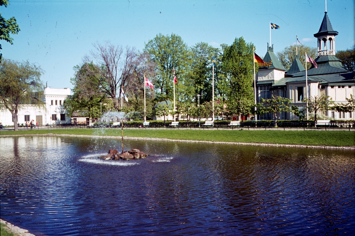 Svandammen, Uppsala 1971