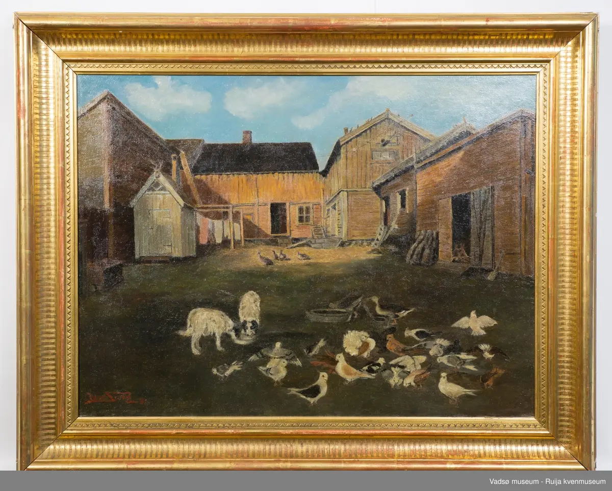 Bakgårdsmotiv fra gård i Vadsø med flere bygninger og uthus, hunder, gjess, duer.