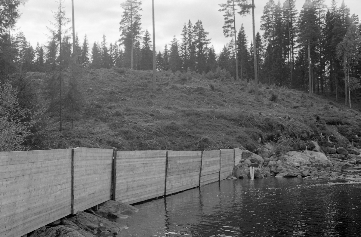 Skådam i Trautåa i Nord-Odal i Hedmark, fotografert i 1954. Skådammen var en skjerm som skulle forebygge at fløtingsvirket drev på land i yttersvingee i elveløpet, og deretter måtte bæres tilbake. Denne skådammen var lagd av skåren trelast, som var spikret på en bakenforliggende tømmerkistedam (jfr. SJF.1990-01992). I bakgrunnen ser vi en bakkekam der det forholdsvis nylig hadde vært hogst, men der det var i fer med å vokse opp en ny furugenerasjon under gjensatte frøtrær.