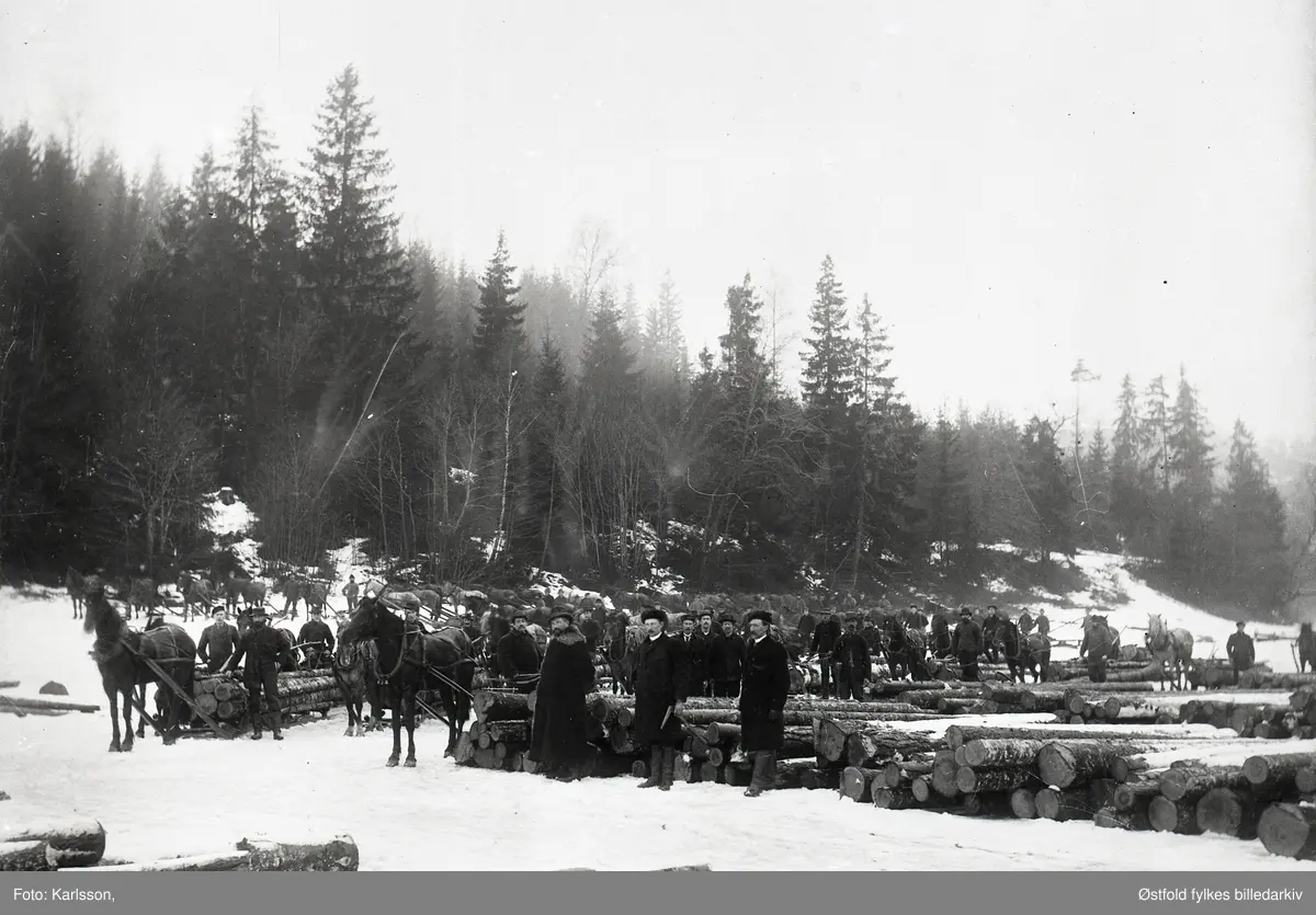 Tømmeropplag på Rambergevja i Tune.
Oppsamling av tømmer fra Kjerringåsen og skogen ovenfor Ramberg og helt opp til Svinndal. Tømmeret ble frakten med hest ned på isen. Når isen smeltet på våren ble tømmeret fløtet ned til Solli-bruket.