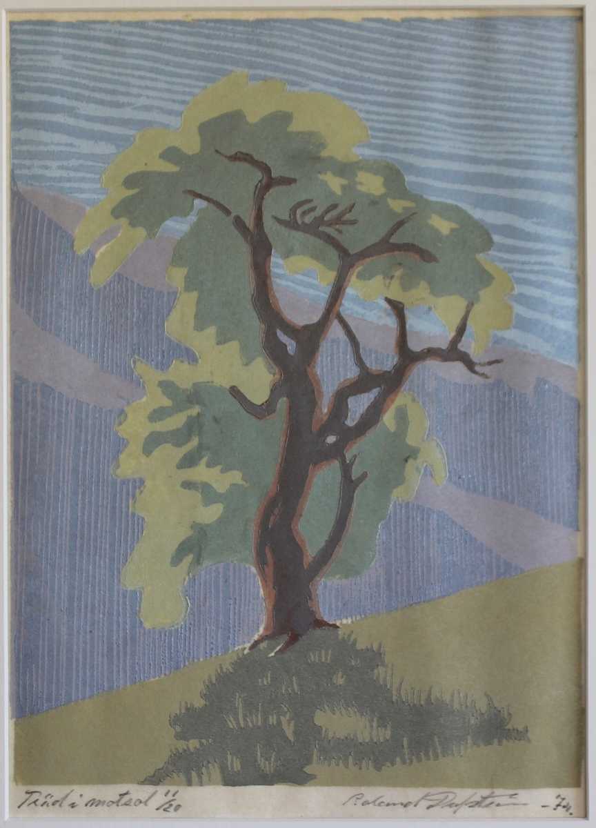 Monterad i syrafri passepartout 40 x 50.