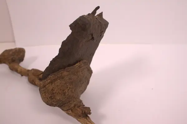 Jernstykke omvokst av tre