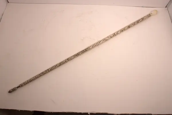 Spaserstokk av hairygg, med elfenben håndtak