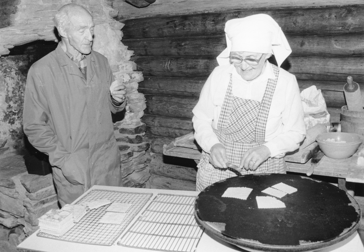 Nord-Østerdalsuka 1991. Prøvesmaking