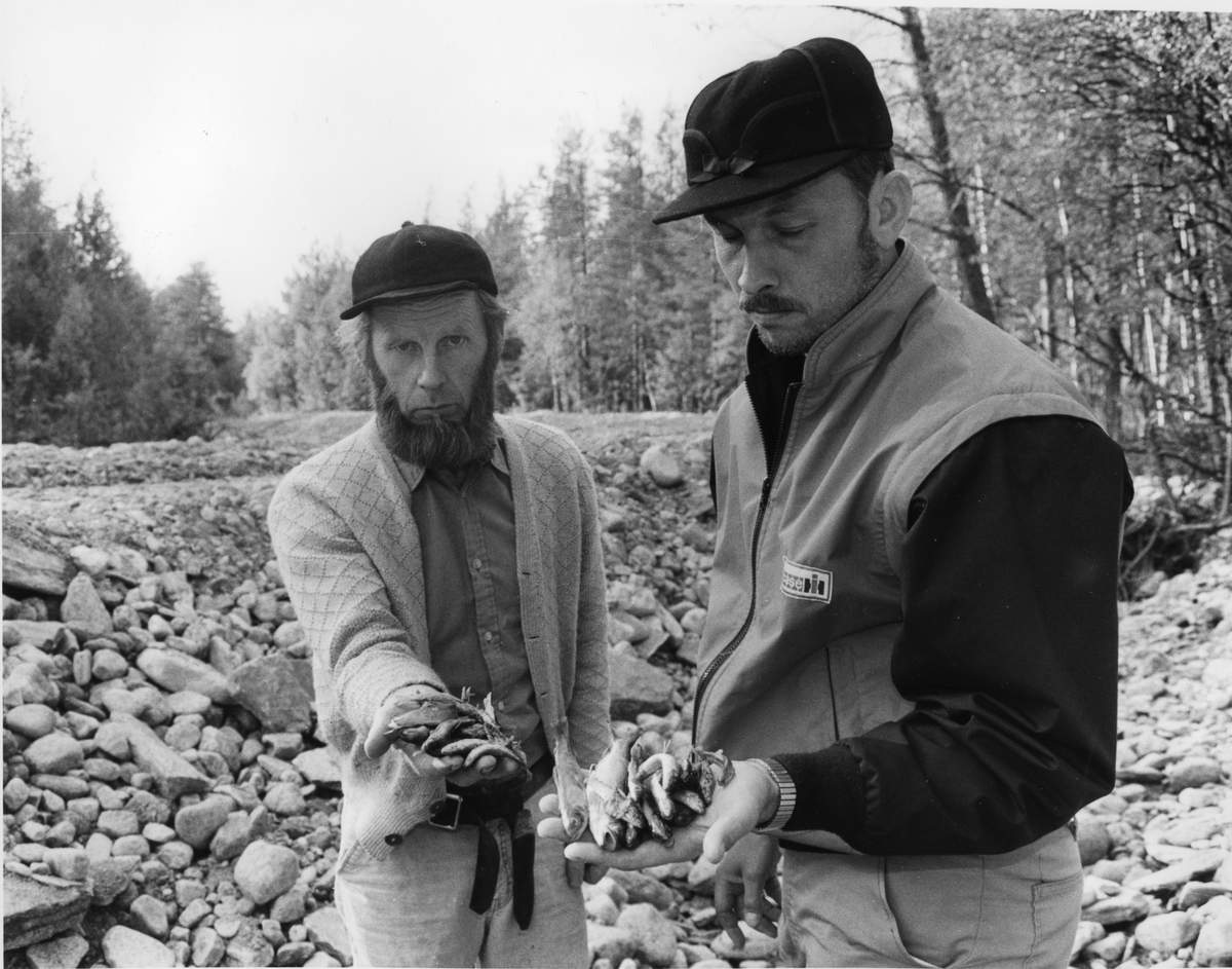Fiksedød Auma. Arne Dagfinn Øynes og KJell S. Øverland