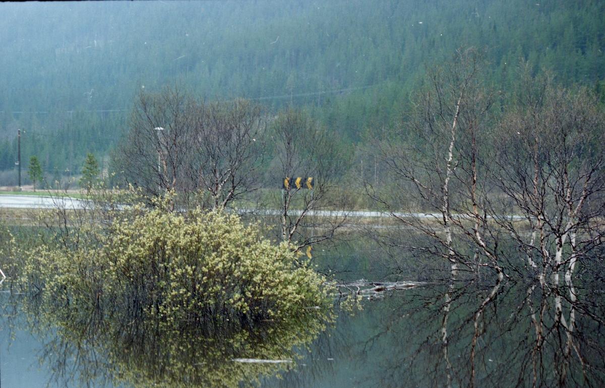 Flom-bilder Tynset og Alvdal