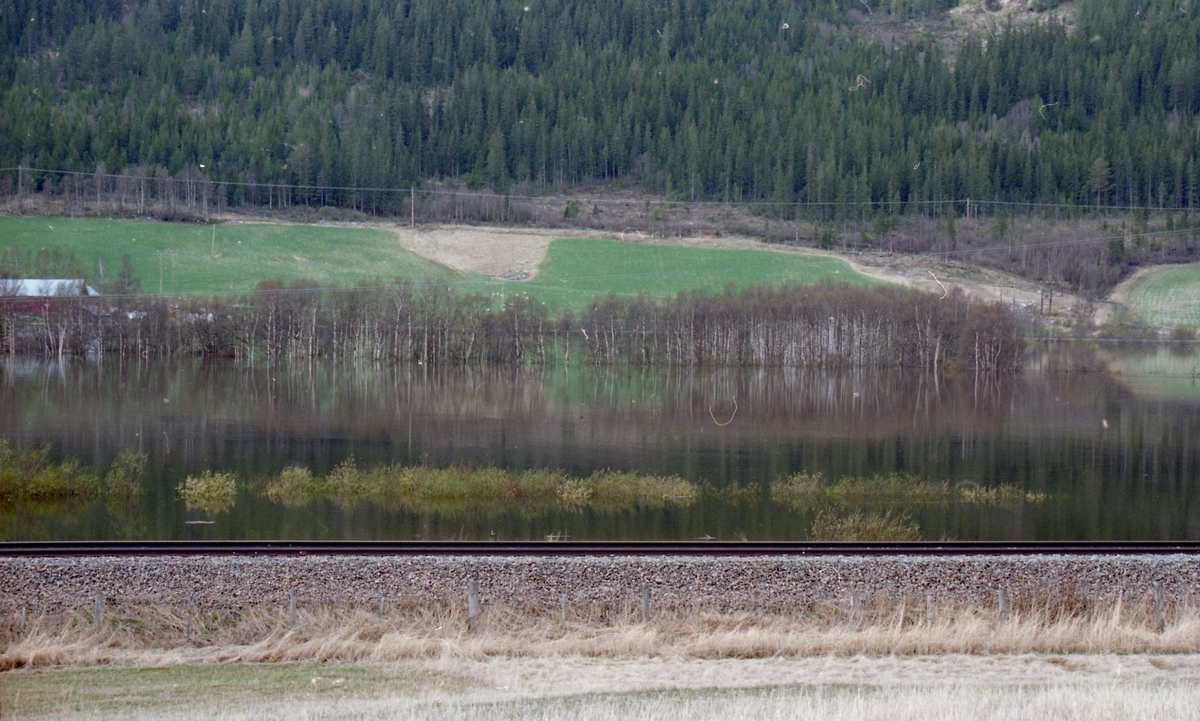 Flom-bilder Tynset og Alvdal