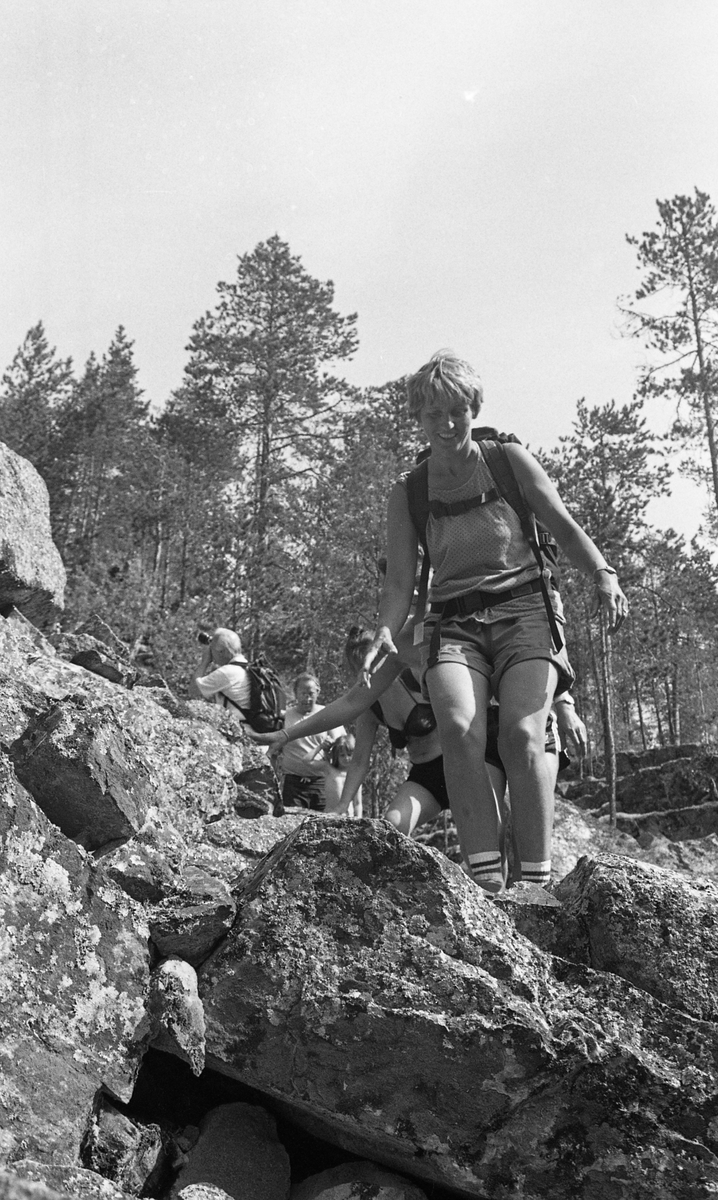 Turfølge Jutulhogget