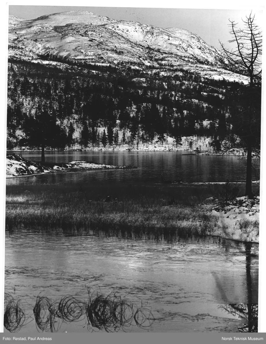 Lille Elgåvann, Femundmarka. 27 cic, 40 cic, 80 %, 0,12, 2,05