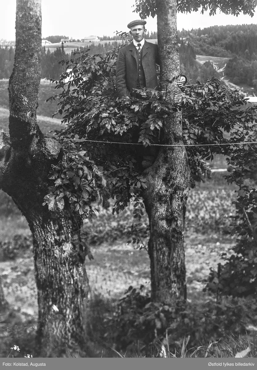 Humorportrett av mann som poserer i et tre ca. 1910- 1920, Ukjent mann.