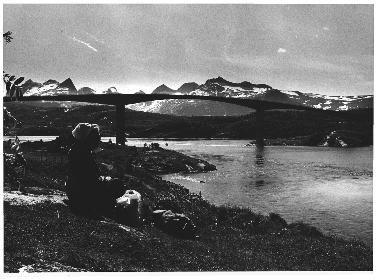 Saltstraumen