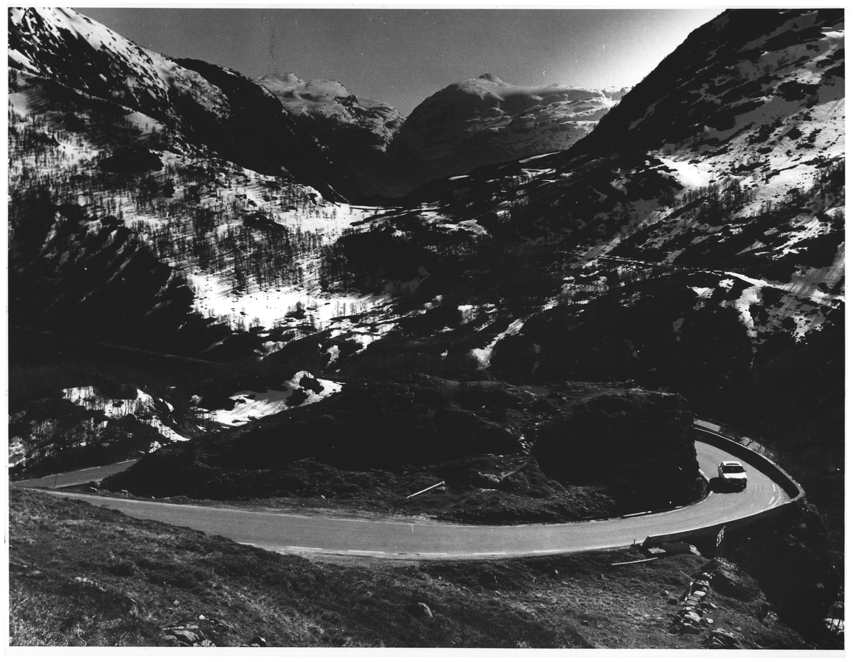 Austmannlia. Røldal
