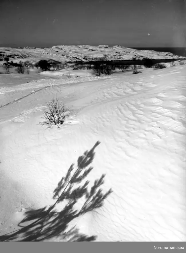 Her ser vi en gruppe barn ute på terrassen til en bolighus. Trolig enten familie, slekt eller bekjente av fotografen, som sannsynligvis er John Myren. Datering er ukjent, men trolig mellom 1930 til 1960. Stedet er også ukjent, men kan være fra Sunndal kommune. Fra Nordmøre museums fotosamlinger.
