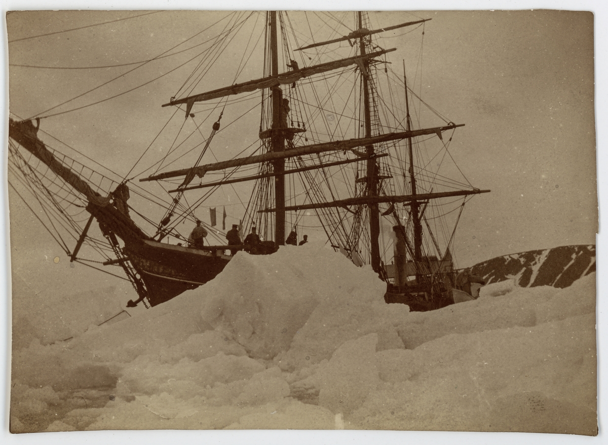 Första svenska Antarktisexpeditionen. Expeditionsfartyget ANTARCTIC i isen. Påskrift på originalets baksida: "Le bateau dans les glace trés exagéré par le photographe mais bien fait pour fair fremin (?)"

Antarctic bland isen, kanske taget 1902.