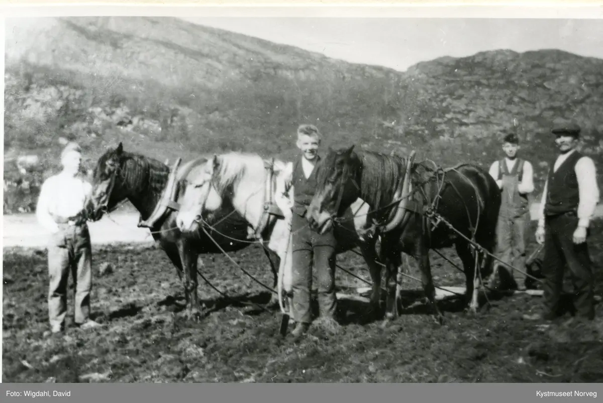 Arnt, Einar, Toralf og Alf Storsul