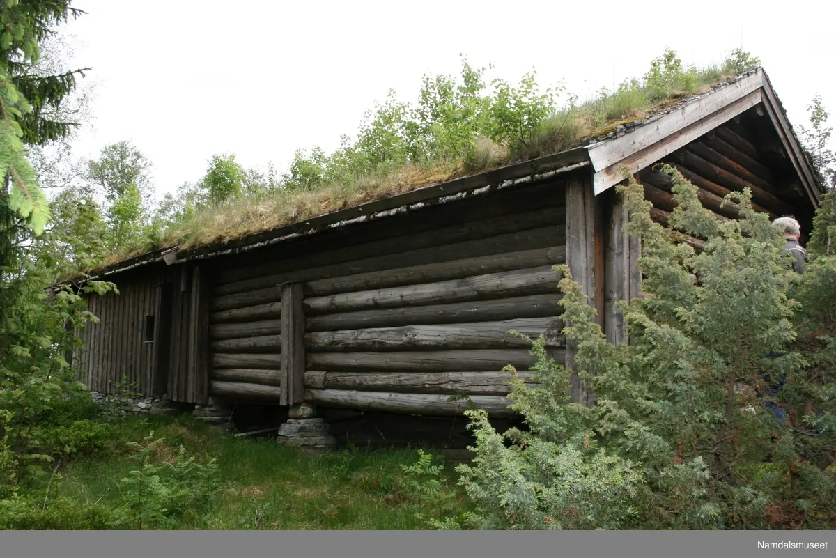 Bygning i laftet plank og reisverk. Navnet på bygningen, Salenhusa, som bekriver noe i flertall kommer av at dette er to hus med to ulike funksjoner bygd sammen som ett hus. Høyløe og fjøs, sannsynligvis opprinnelig et saufjøs.