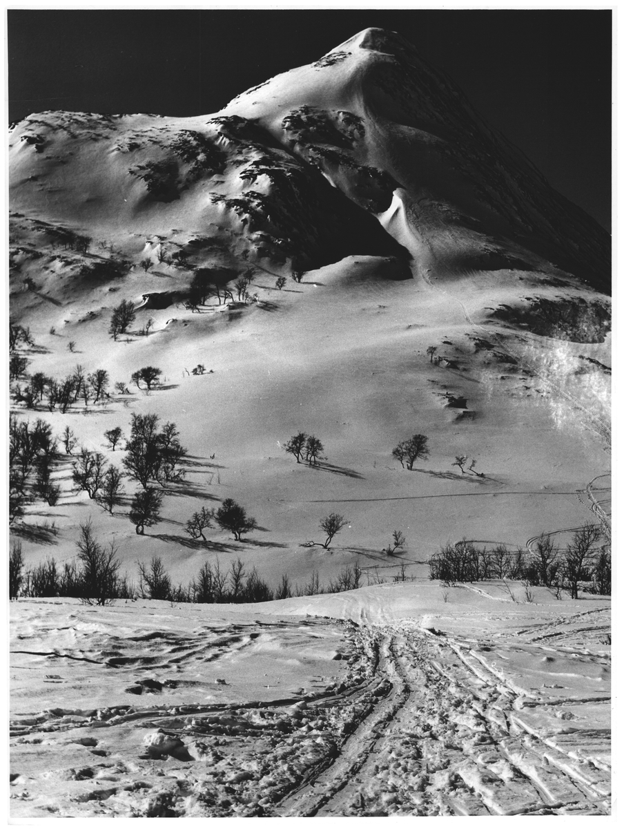 Sjugurdstind 1306 m v. Memurubu