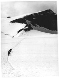 Over Styggebreen til Galdhøpiggen